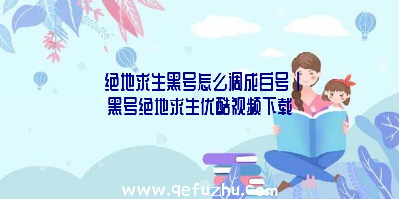 「绝地求生黑号怎么调成白号」|黑号绝地求生优酷视频下载